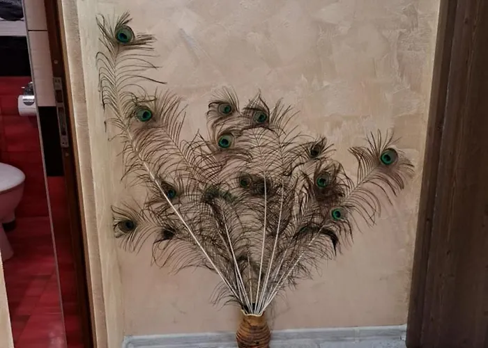 иванови Apartment Targovishte (Targovishte)